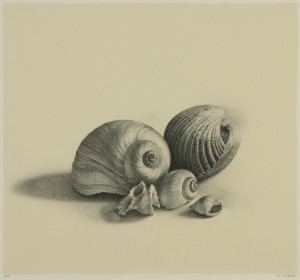 野田 弘志 「静物」 Hiroshi Noda - 創業36年 美術品販売 Gallery Tanabe