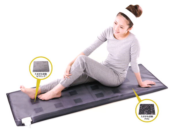 株式会社たんぽぽコーポレーション｜あなたの健康のお手伝い