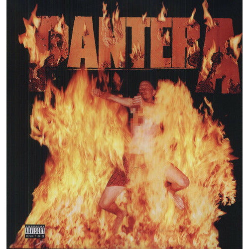 Pantera - Reinventing the Steel - LP – The 'In' Groove
