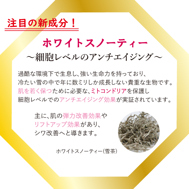 Renée Soin Plus（レネ ソワン プラス）