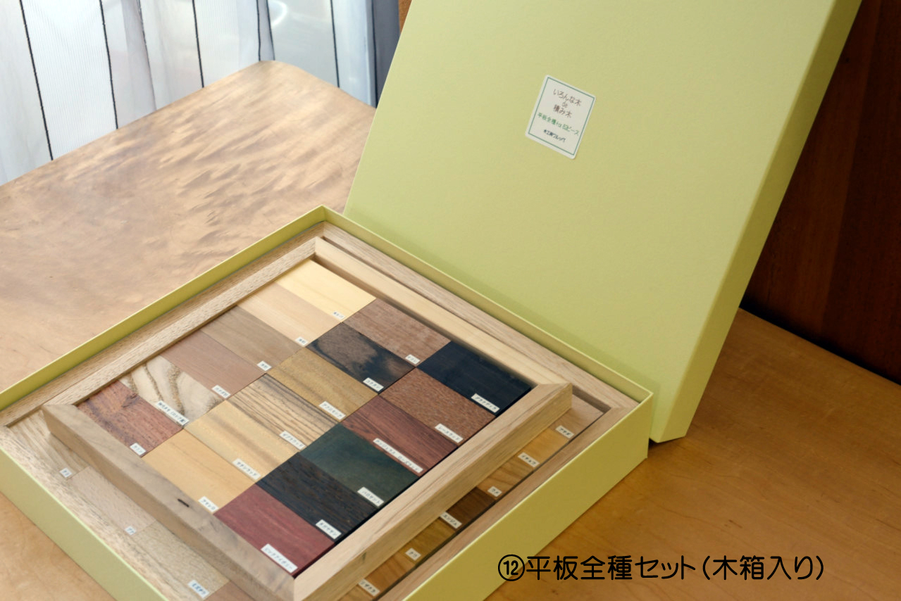 木の見本・樹種サンプル