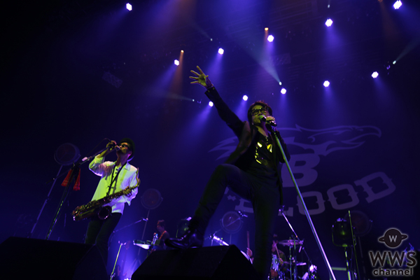 藤井フミヤ＆藤井尚之兄弟のユニット F-BLOODの結成20周年記念全国