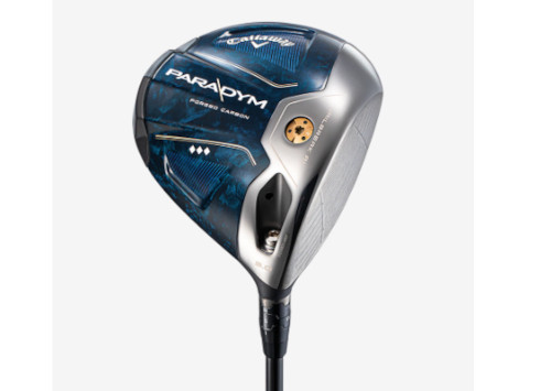 いまさら PARADYM ◇◇◇ が良かった話 (ANSERFREAK)