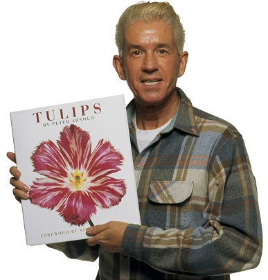 TULIPS by Peter Arnold