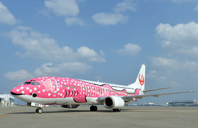 ジンベエジェット2号「さくらジンベエ」、JTAがお披露目
