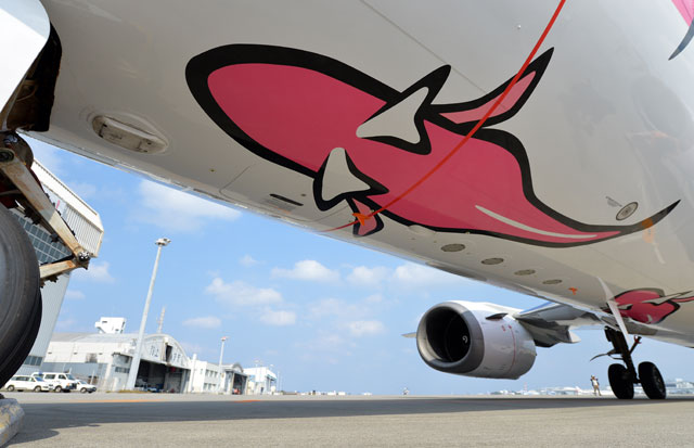 ジンベエジェット2号「さくらジンベエ」、JTAがお披露目