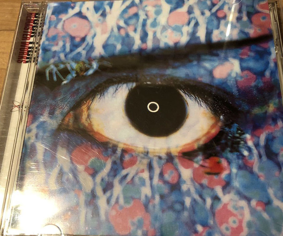 Welcome to Buck-Tick Zone