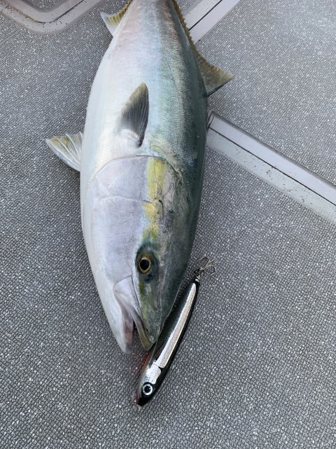 カーペンター BLC84／25 R－PM SC HGS ブルーチェイサー