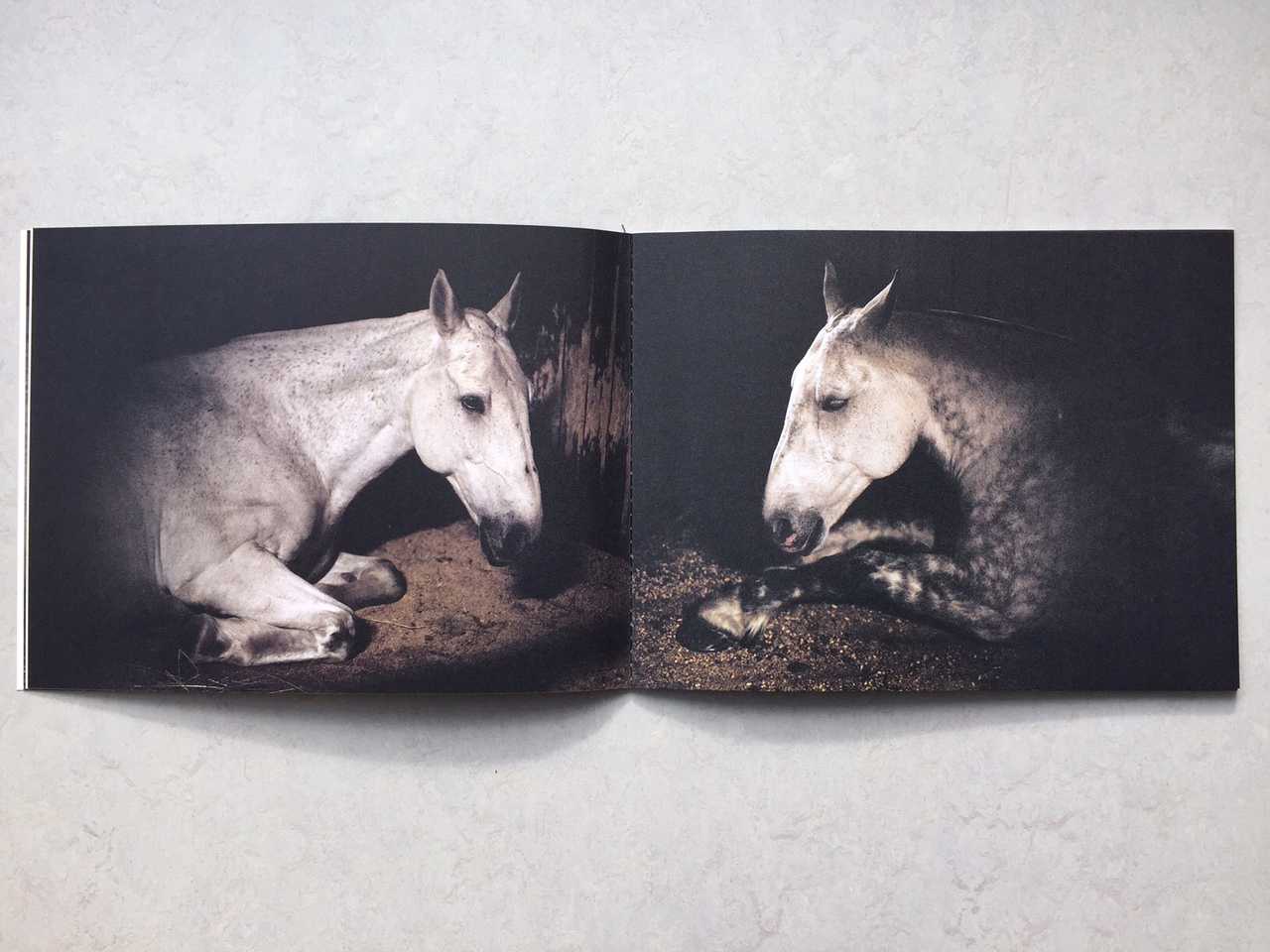 Anima – Charlotte Dumas