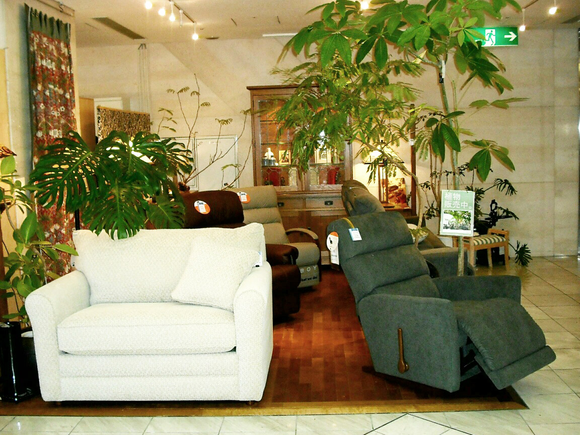 レイジーボーイ新作入荷＆OZONEレイジーボーイ・コーナー新設