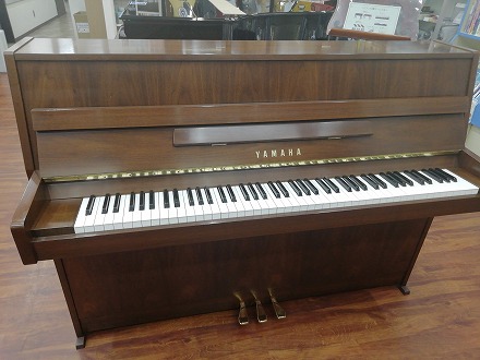 KAWAI BL-31 - 第一楽器株式会社
