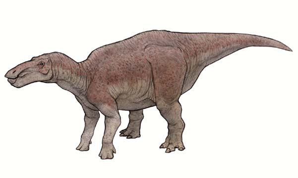 シャントゥンゴサウルス（Shantungosaurus giganteus） 恐竜のデジタル図鑑