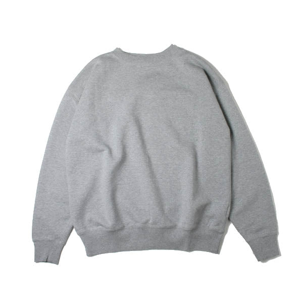 BACK WOOL SWEAT BIG P/O (A7AP01BW) | DIVERSE / カットソー (MEN