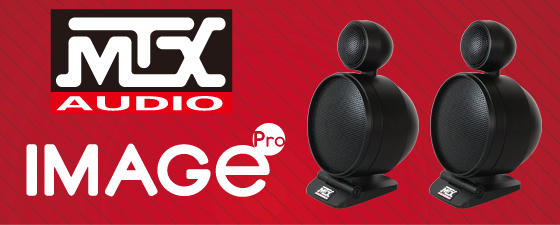 IP463 – E:S CORPORATION