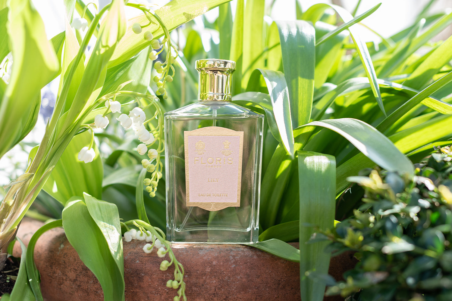 Floris London's Lily: A Fragrance Inspired by Tradition – Floris