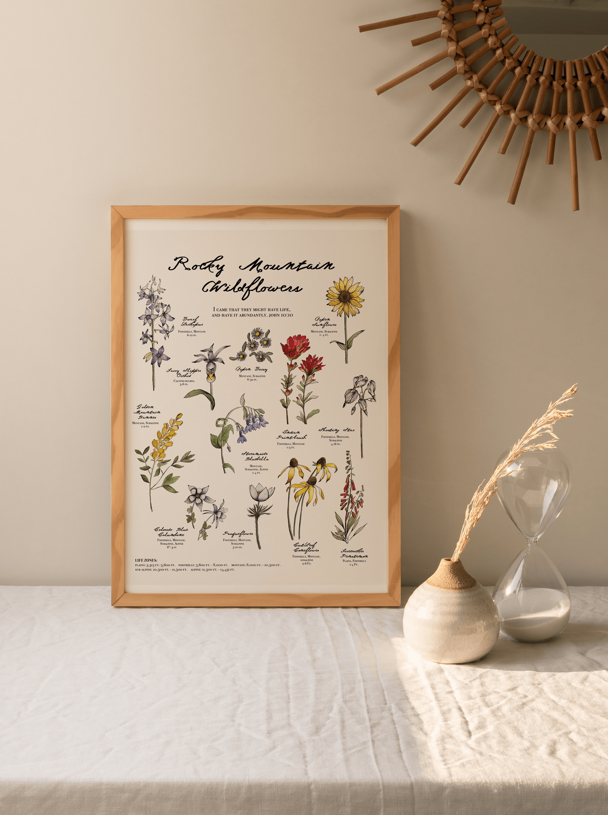 Rocky Mountain Wildflowers Poster – January Jane Shop