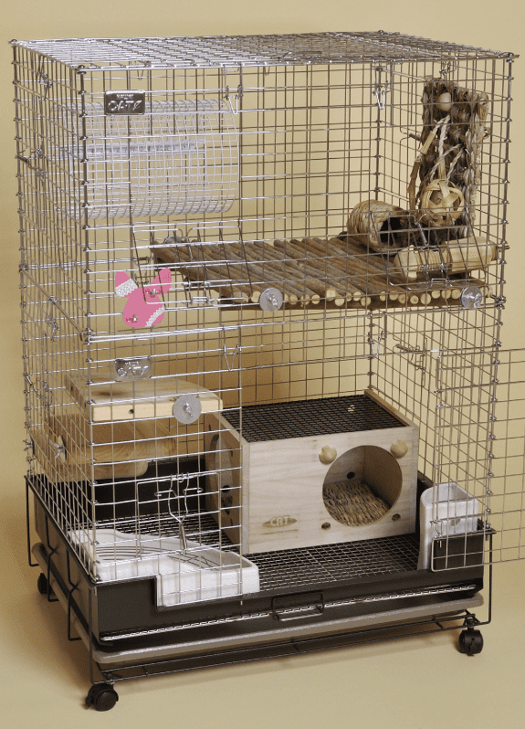 チンチラ向けレイアウト｜【KAWAI】わらっこ倶楽部・そのまんま天