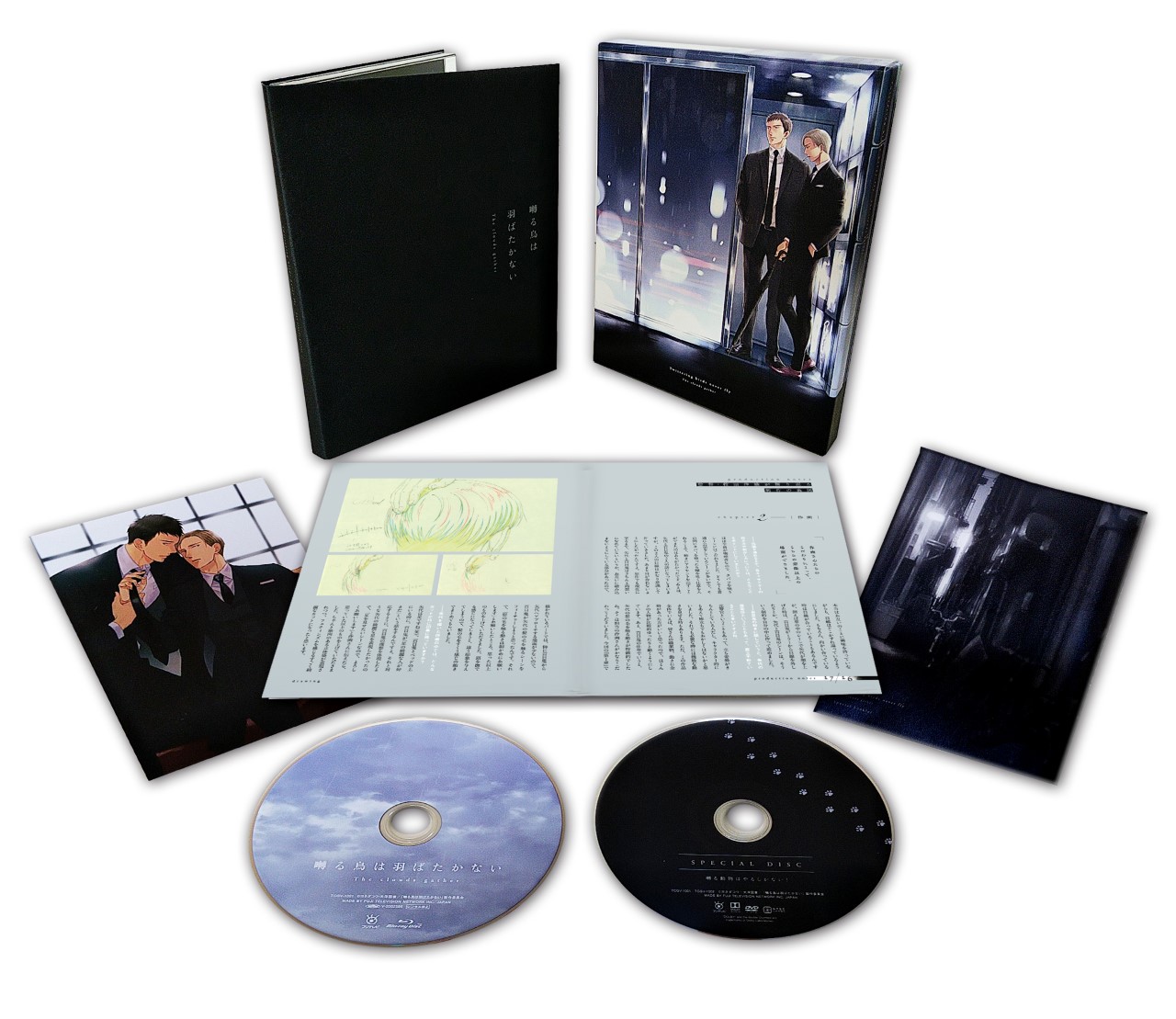 DVD】囀る鳥は羽ばたかない The clouds gather - movin☆on