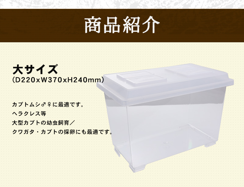 コバエシャッター「昆虫飼育ケース」中サイズ（内部仕切りあり）】豪華