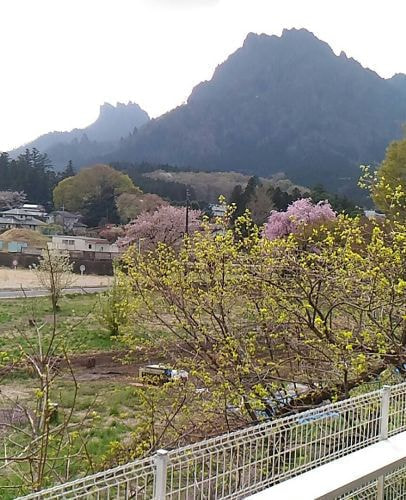 企業情報 | 妙義山麓美術館 公式