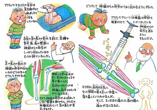 Activator アクティベータ療法 認定者 - コアレディスカイロ