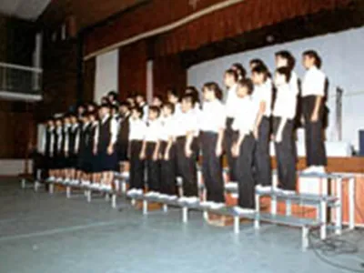 ひな段 - パックス工業株式会社