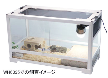 パンテオン ホワイト WH6035 ｜ 株式会社三晃商会