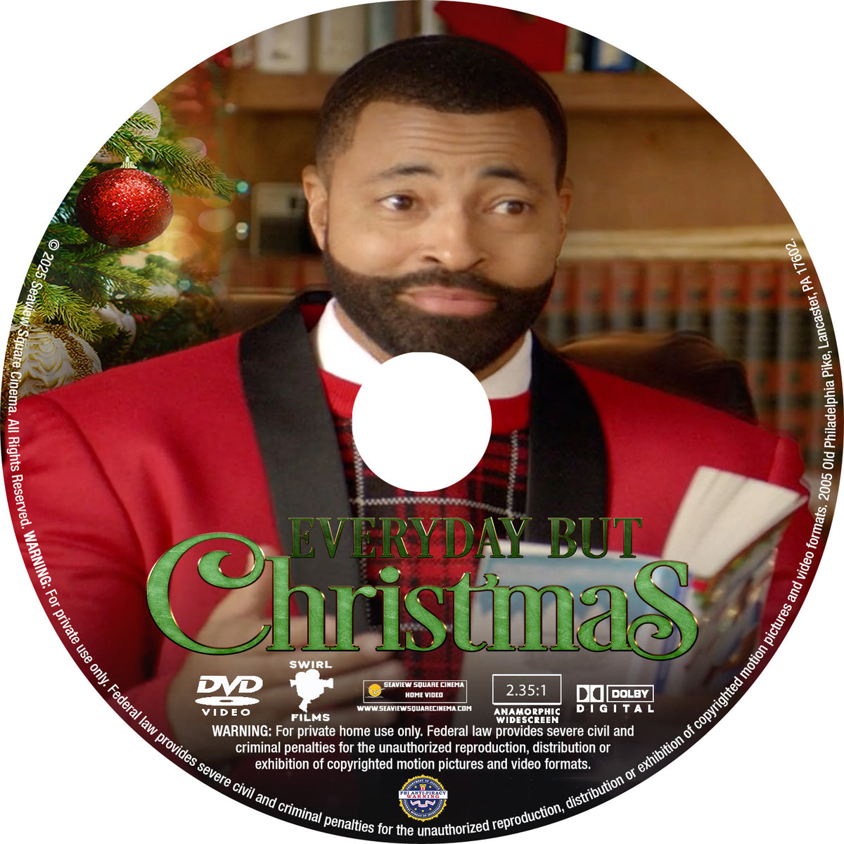 Everyday But Christmas [DVD] [DISC ONLY] [2019] - Seaview Square