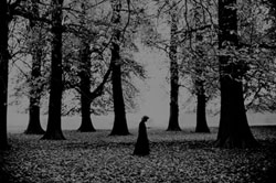 トミオ・セイケ写真展 ｜GALLERY ORCHARD