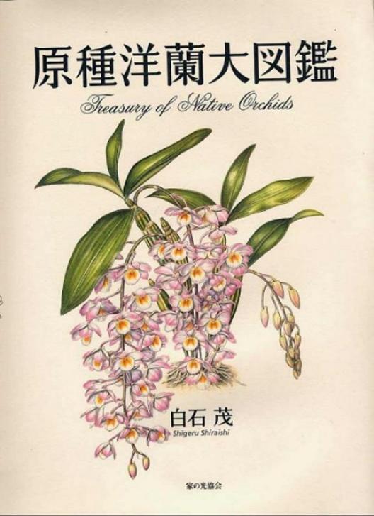 原種洋蘭大図鑑