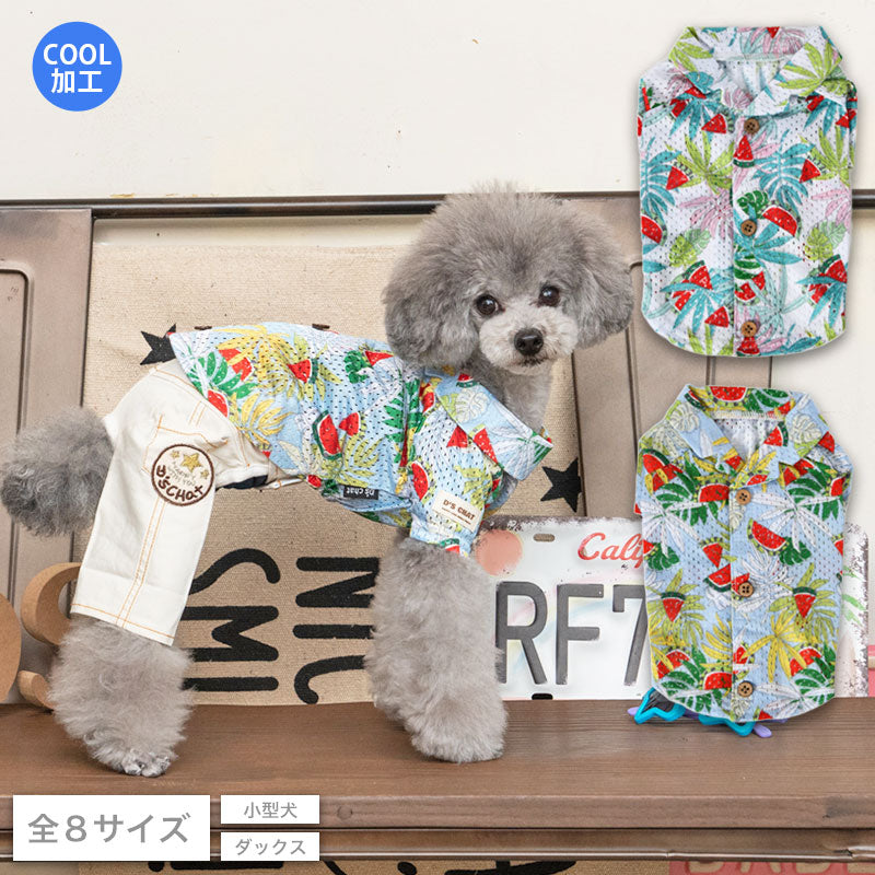 アロハ柄背開きシャツ XS/S/M/L/XL/XXL/DS/DM D's Chat-ディーズ