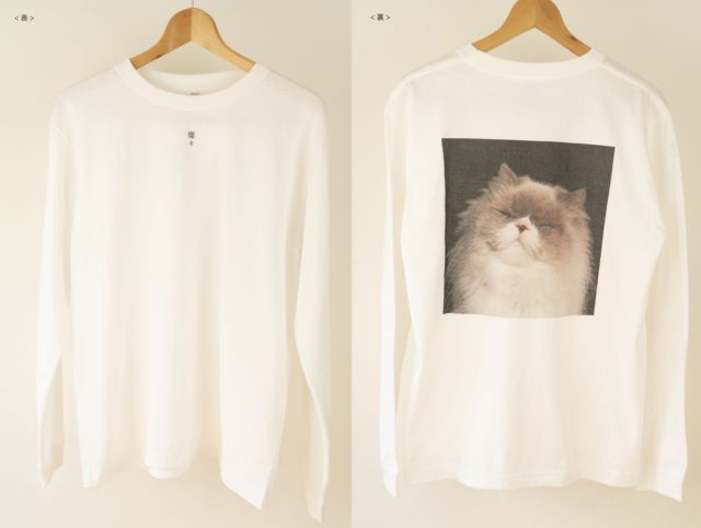 燦々ツアー・新作グッズ公開 | カネコアヤノ/ kanekoayano OFFICIAL SITE