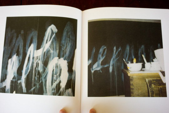 it's never summer: Cy Twombly: Photographs 1951-2007