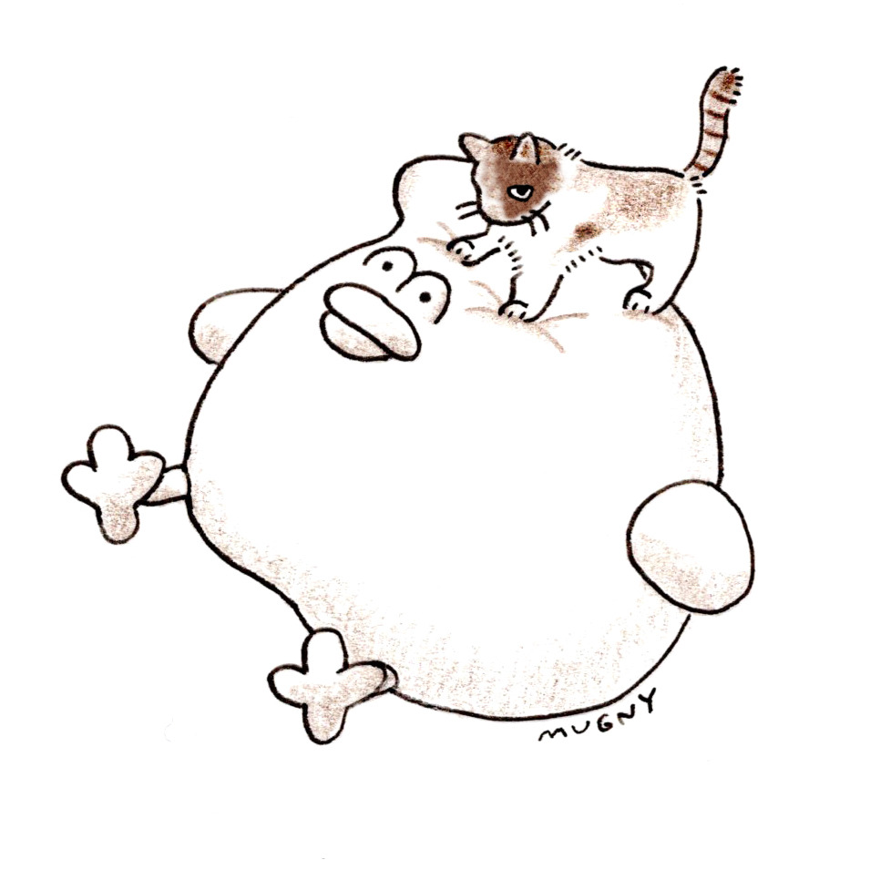 968b65ae40e8e190734c7f62a0e743