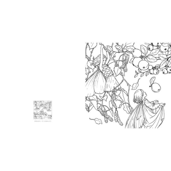 フラワーフェアリーズ花の妖精たち塗り絵ブック 通販｜セブンネット