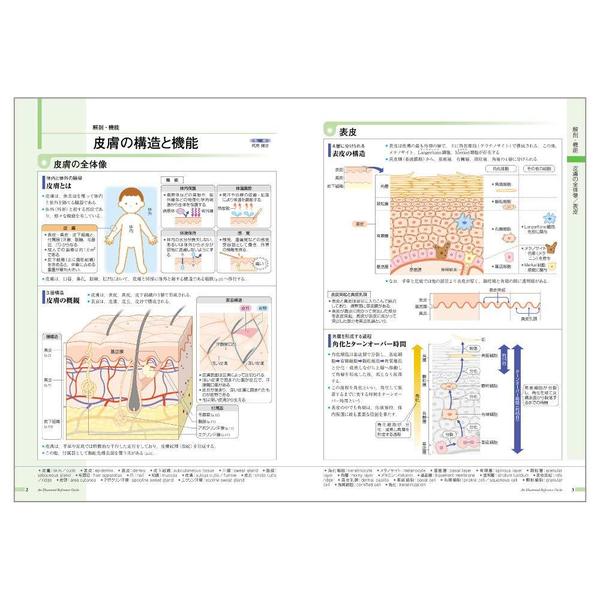 病気がみえる vol.14 皮膚科 皮膚科 通販｜セブンネットショッピング