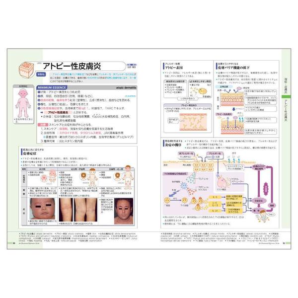 病気がみえる vol.14 皮膚科 皮膚科 通販｜セブンネットショッピング