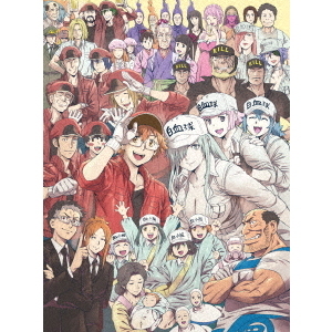 はたらく細胞BLACK 7＜完全生産限定版＞（Blu－ray） 通販