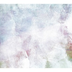 backnumberDVD - 通販｜セブンネットショッピング