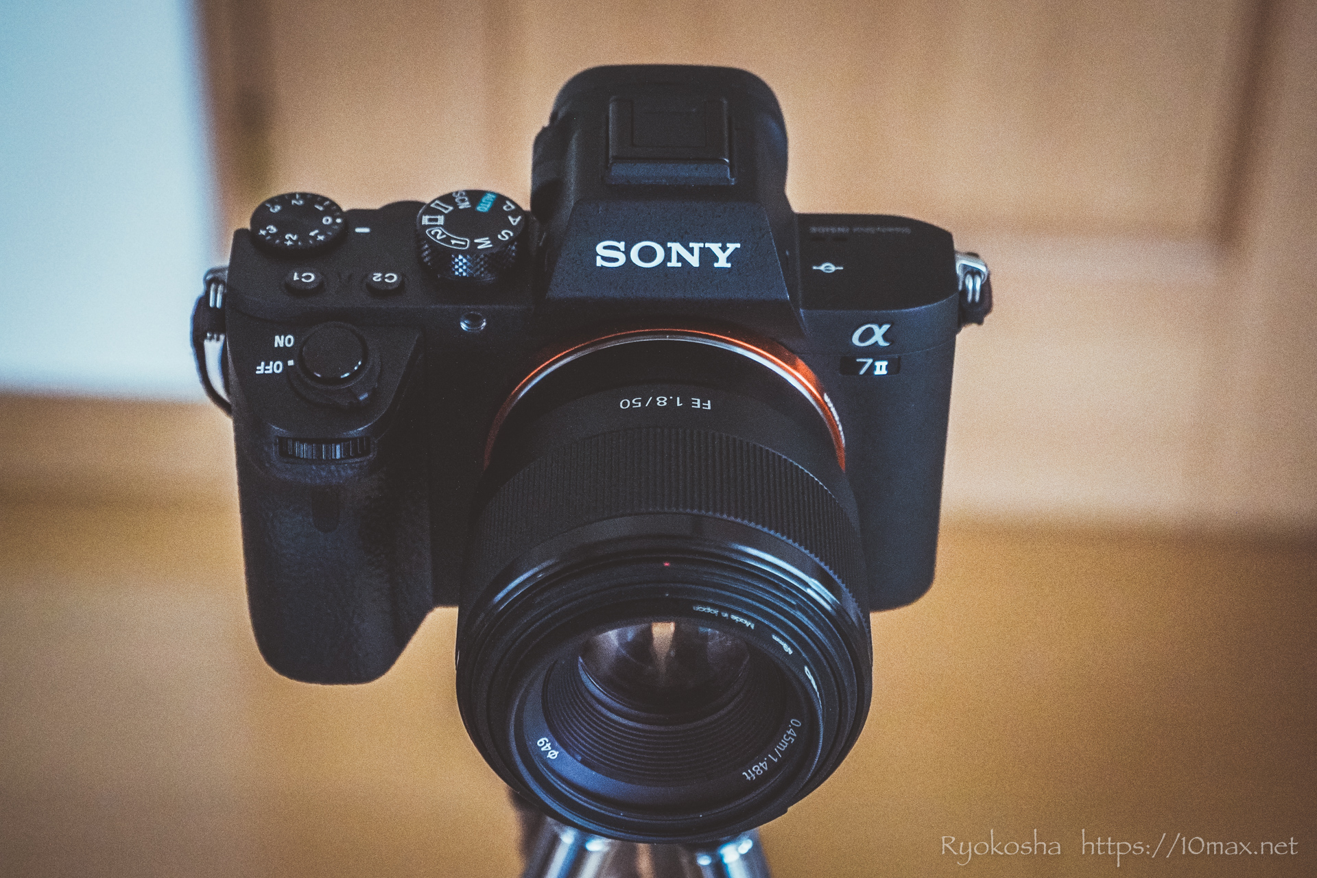 レビュー＆作例】ソニー FE 50mm F1.8 | ズームには出せない世界観を