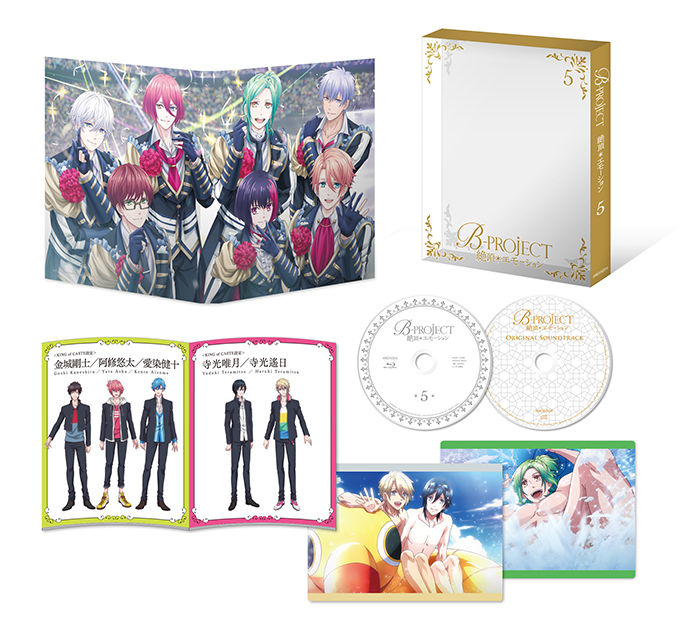 Blu-ray & DVD | TVアニメ「B-PROJECT～絶頂＊エモーション～」