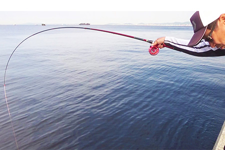 ブラックジャック スナイパー落とし込み(ロッド)｜DAIWA