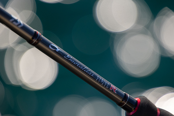 エメラルダス ストイスト RT(ロッド)｜DAIWA