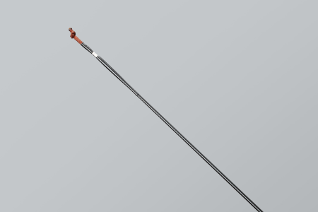 龍聖(ロッド)｜DAIWA