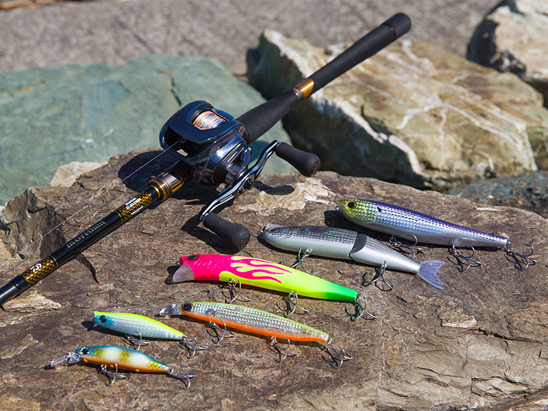 モアザン ブランジーノ EX AGS ベイトモデル (ロッド)｜DAIWA