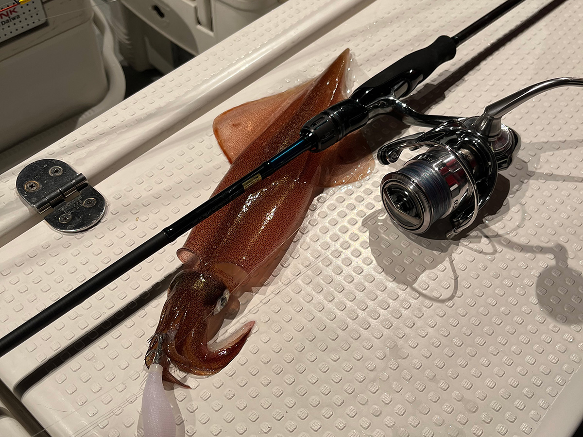 エメラルダス MX イカメタル(ロッド)｜DAIWA