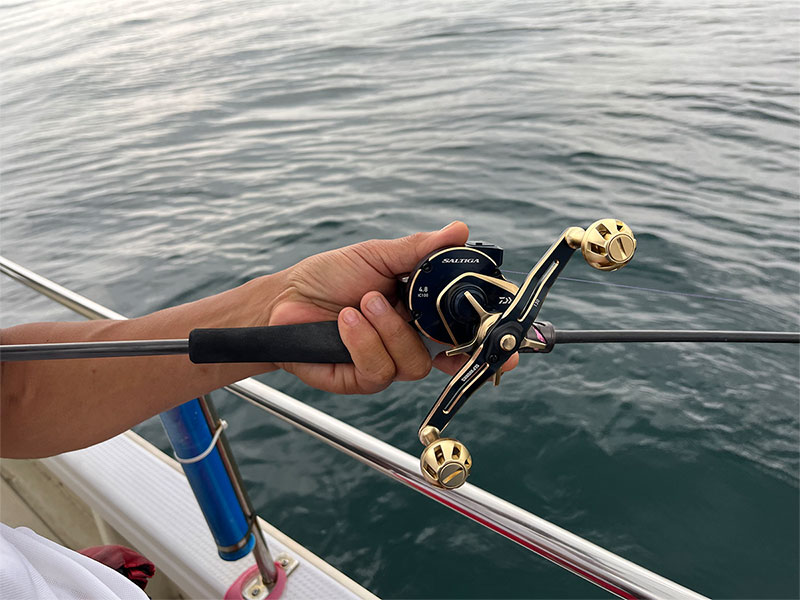 紅牙 EX(ロッド)｜DAIWA