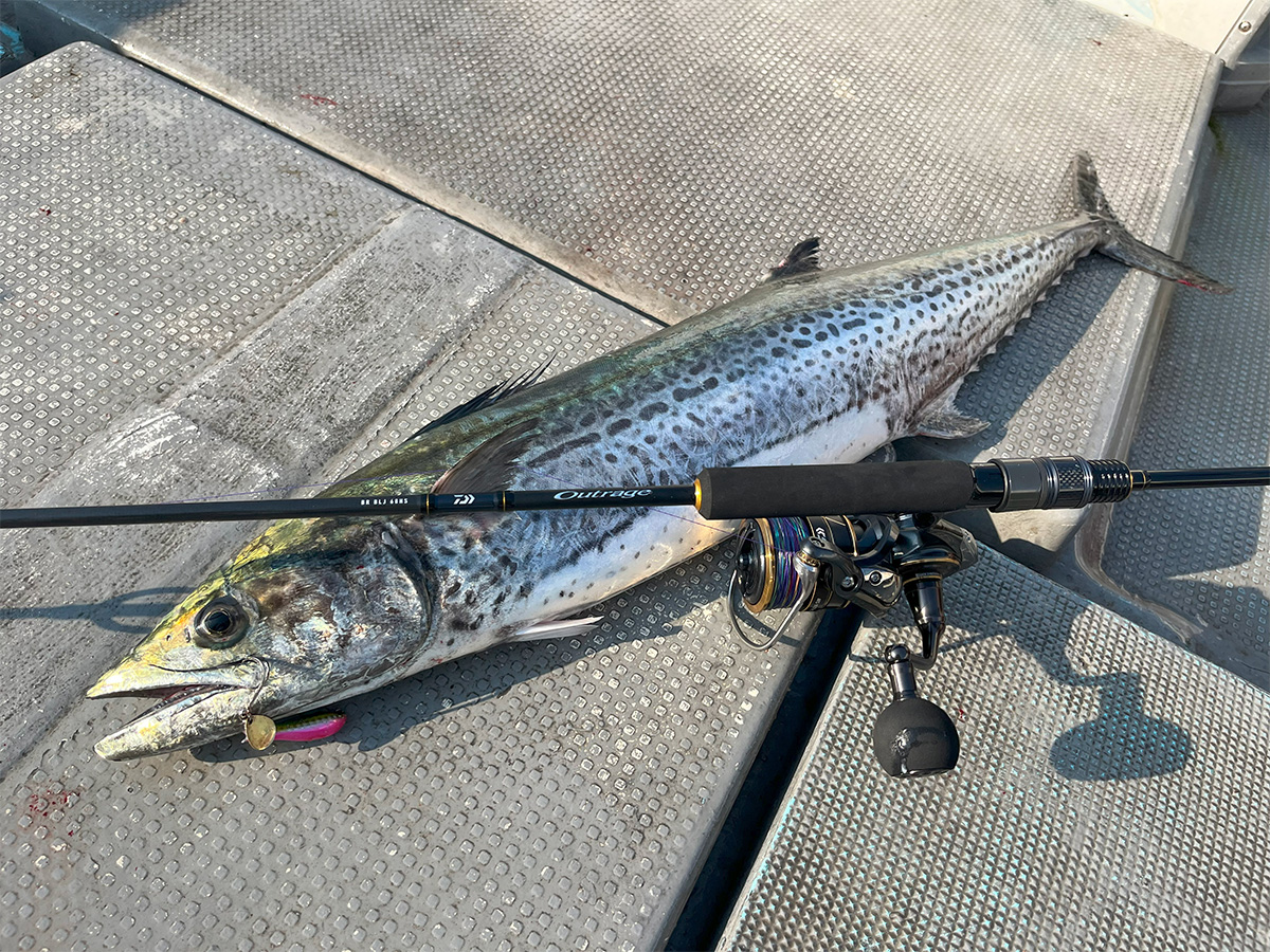 アウトレイジ BR BLJ(ロッド)｜DAIWA