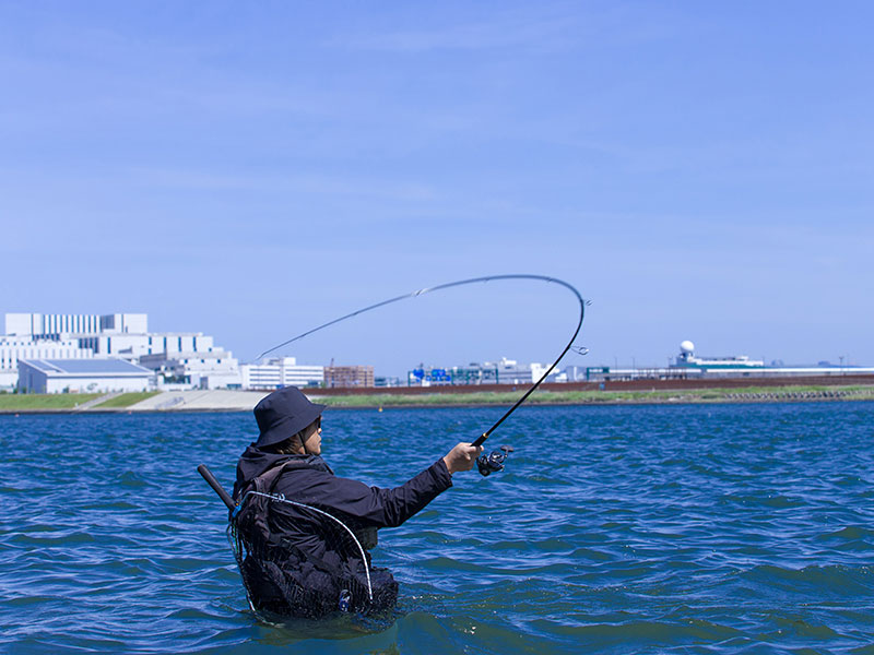 ラテオ(ロッド)｜DAIWA