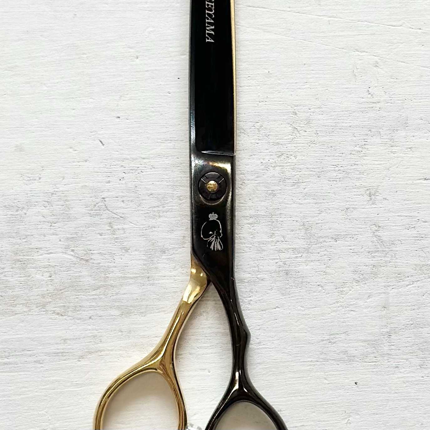 MEI ISEYAMA MODEL 】ギザ刃のストレートシザー 7.5インチ | 333 Dog